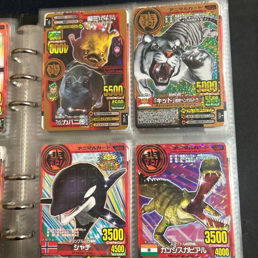 ラタトスク様確認用