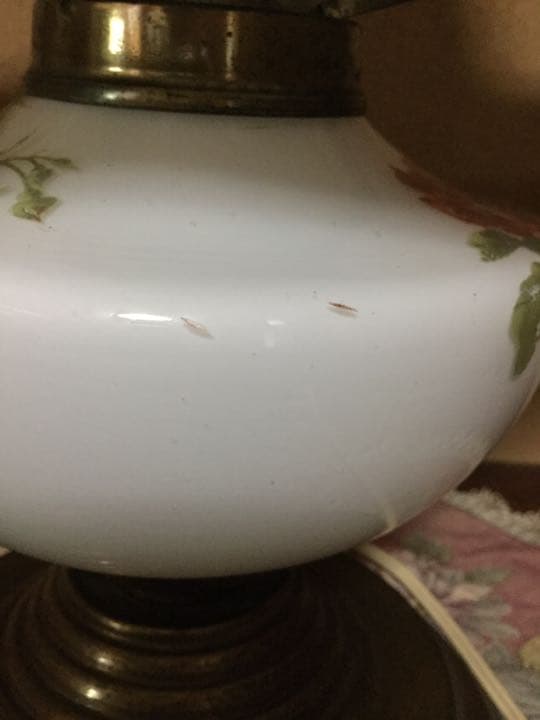 レトロなランプ　乳白色にカーネーション53cmx37cm 30万円相当