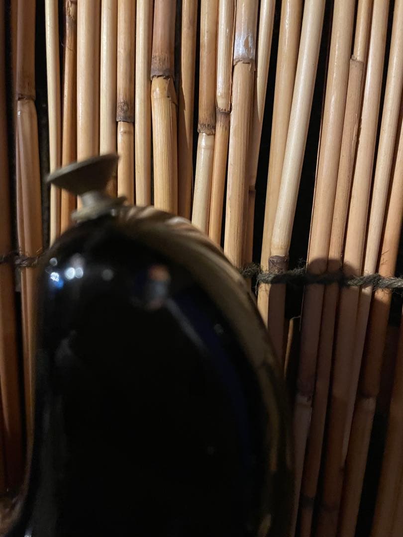 TOKAI ST-60 springy sound 1979Ｅスタンプ