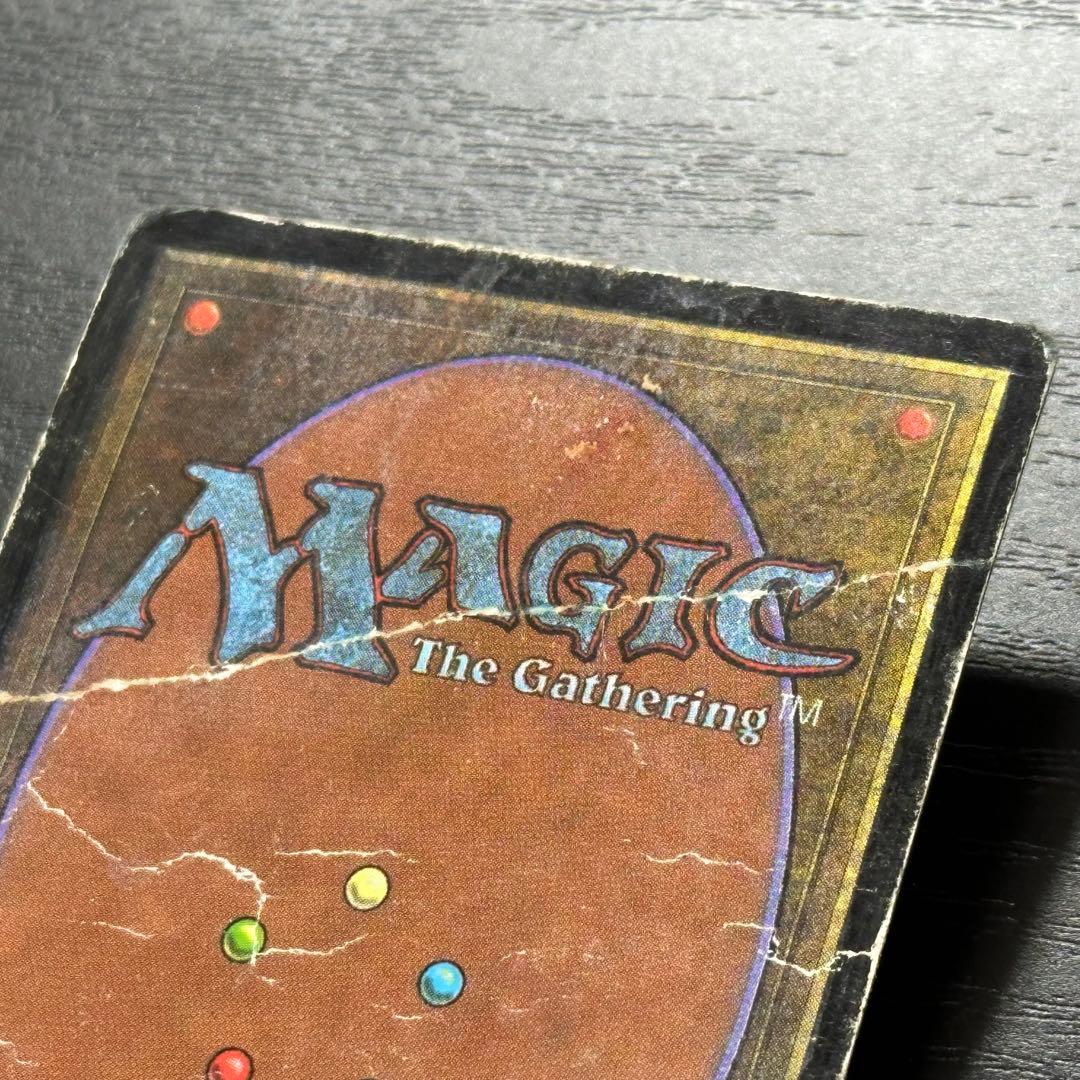 マジック：ザ・ギャザリング MTG Tropical  3ED English