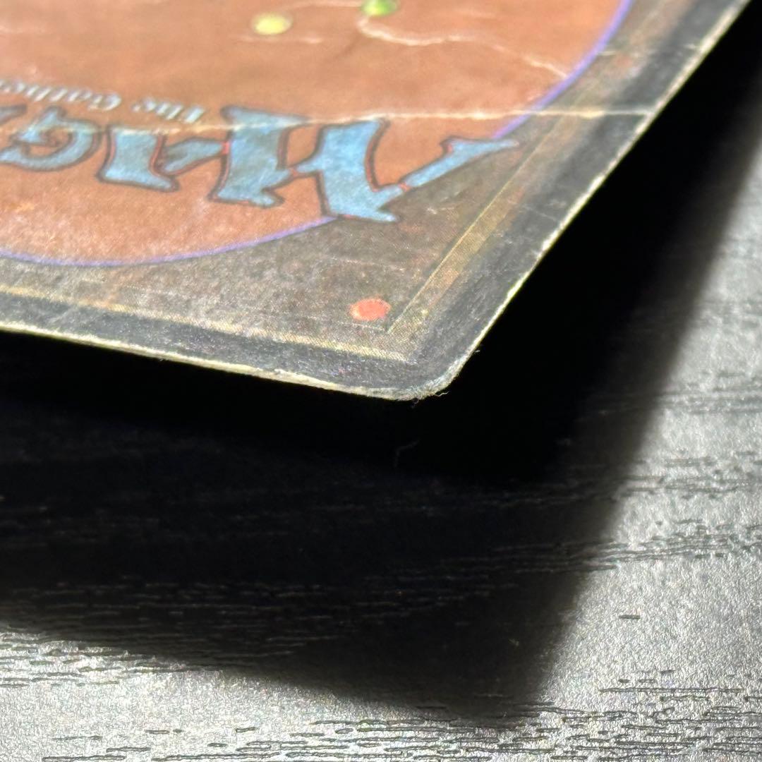 マジック：ザ・ギャザリング MTG Tropical  3ED English