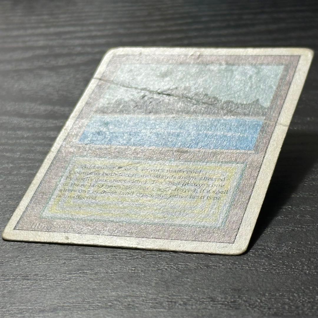 マジック：ザ・ギャザリング MTG Tropical  3ED English