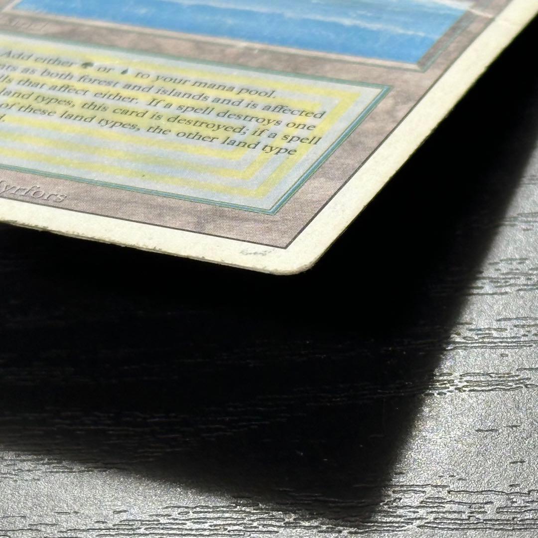 マジック：ザ・ギャザリング MTG Tropical  3ED English
