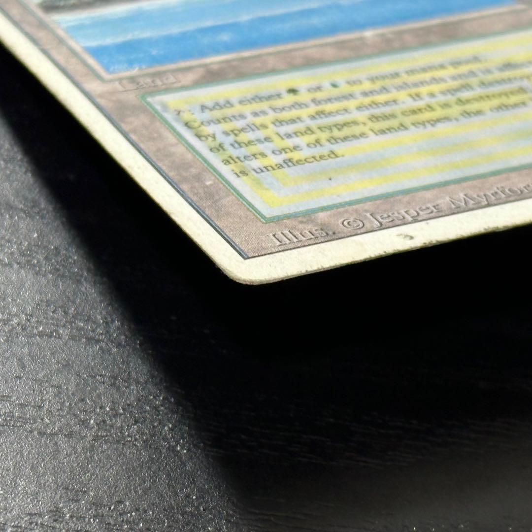 マジック：ザ・ギャザリング MTG Tropical  3ED English