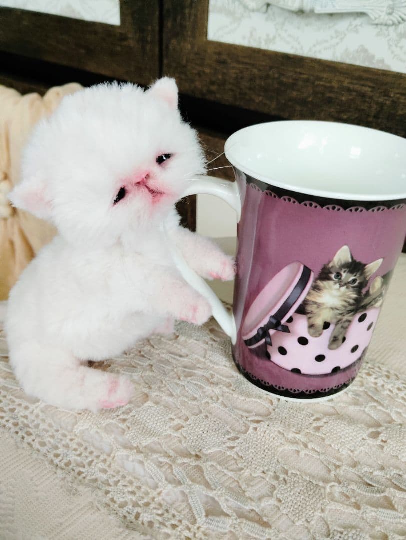 生後10日♡エキゾ子猫ちゃん♡マグカップ♡お口開閉♡アートドール♡ぬいぐるみ♡