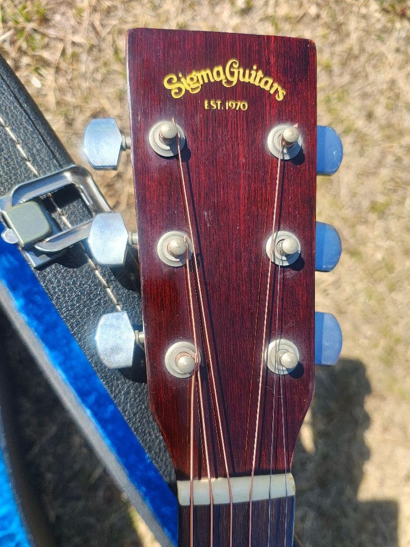超美品 Sigma Guitars by Martin DM-1 HC付