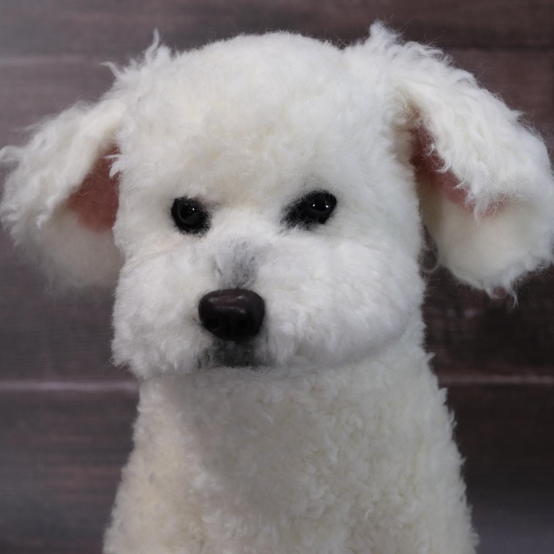 羊毛フェルト　かんすけ様　ミニチュアプードル　犬　ハンドメイド　オーダー