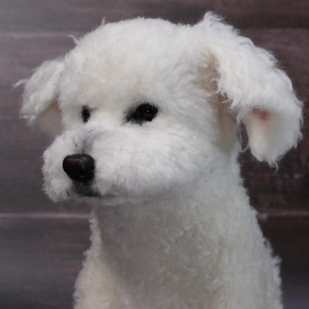 羊毛フェルト　かんすけ様　ミニチュアプードル　犬　ハンドメイド　オーダー
