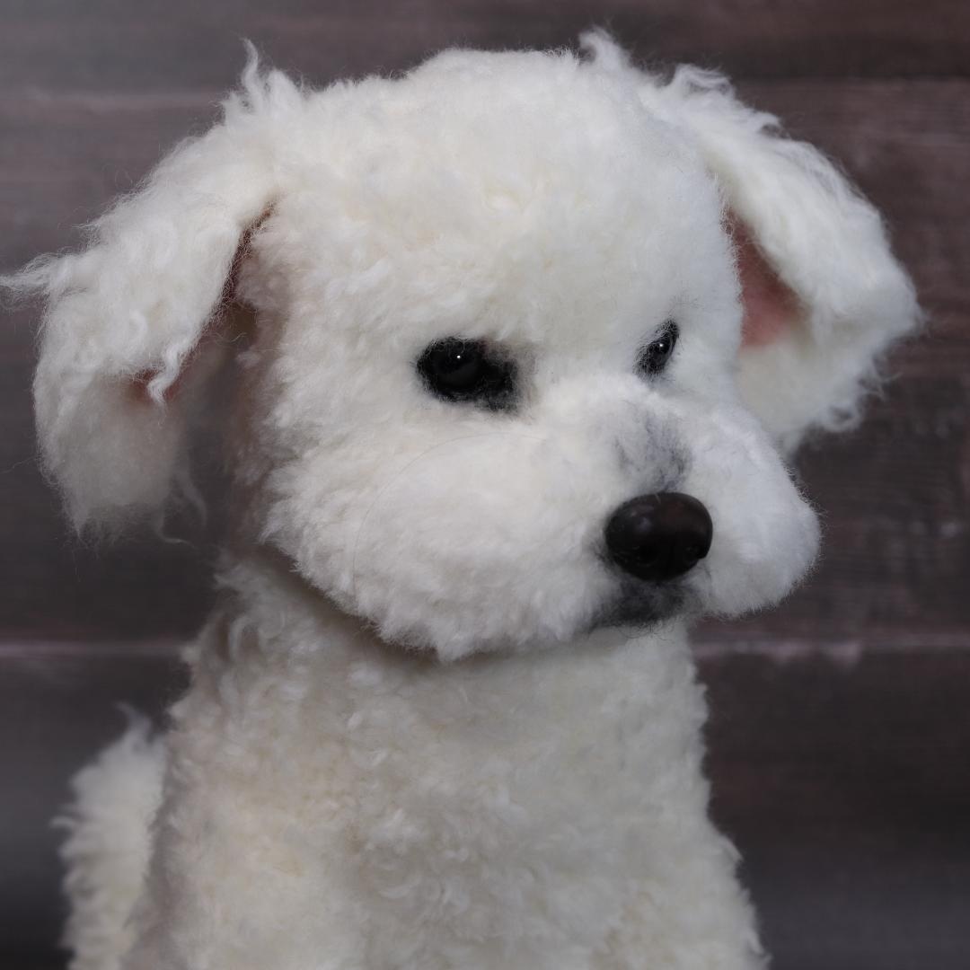 羊毛フェルト　かんすけ様　ミニチュアプードル　犬　ハンドメイド　オーダー