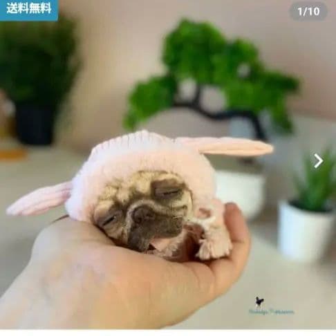 a*p様 作家物　パグ　アートドール