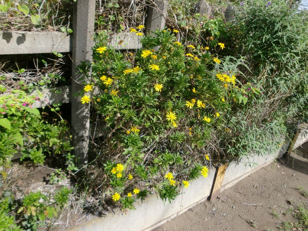 実写美⭕️良品【動作確認済】CASIO EXILIM ZOOM EX-Z250