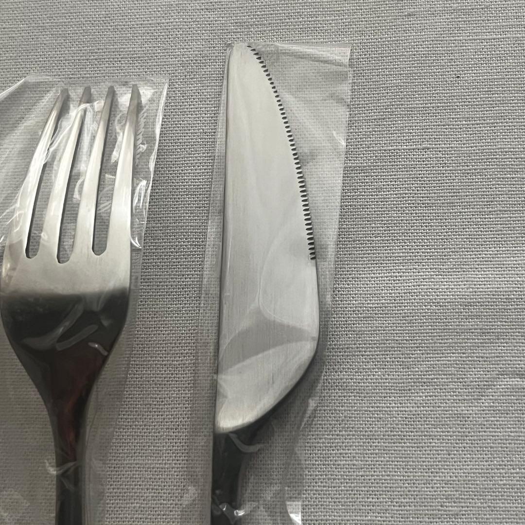 SUNAO カトラリー 燕振興工業 graf 10本セット スプーン フォーク