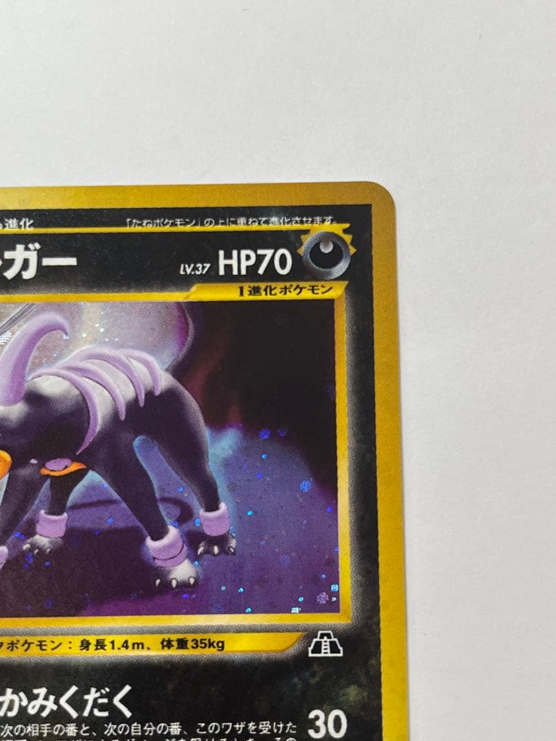 旧裏 ヘルガー LV.37 キラ ホロ ポケカ 廃盤 No.229 当時物