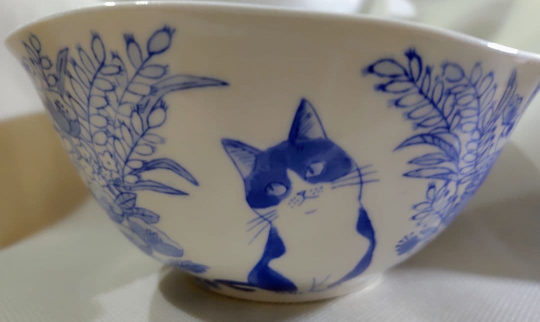 清水直子　猫　どんぶり　1