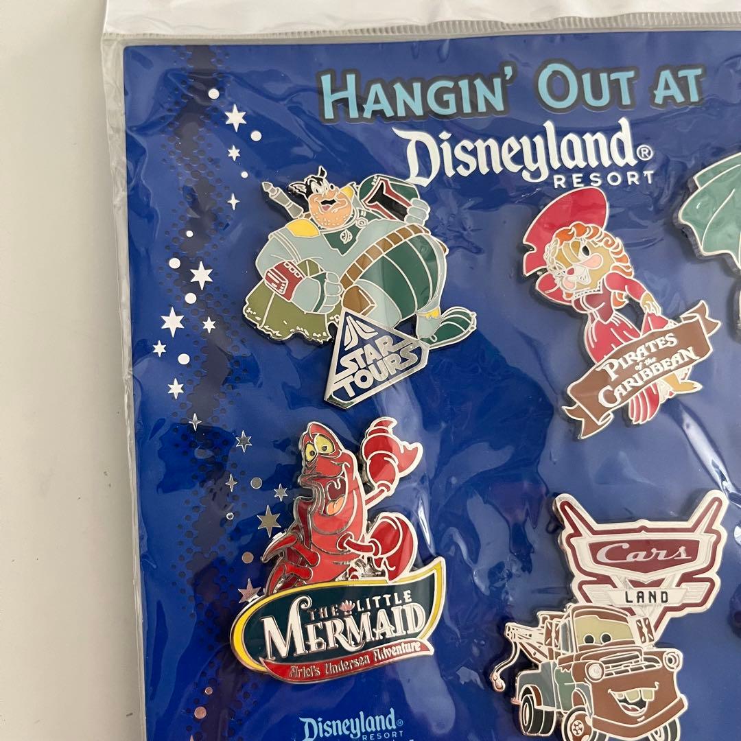 【レア】　ディズニーランドリゾート　ピンバッジ　年パス所有者限定