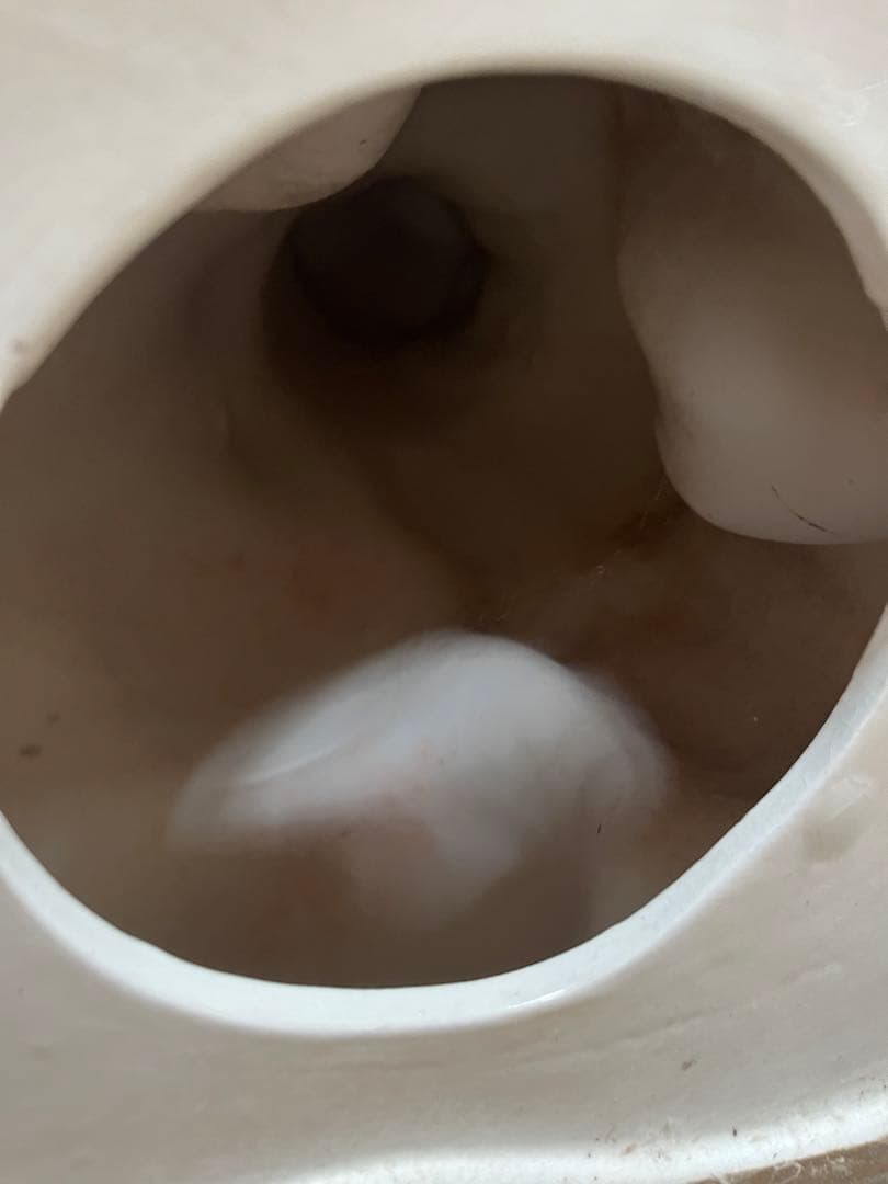 イタリア製 ヒョウ 豹 陶器 置物 レオパード アニマル インテリア オブジェ