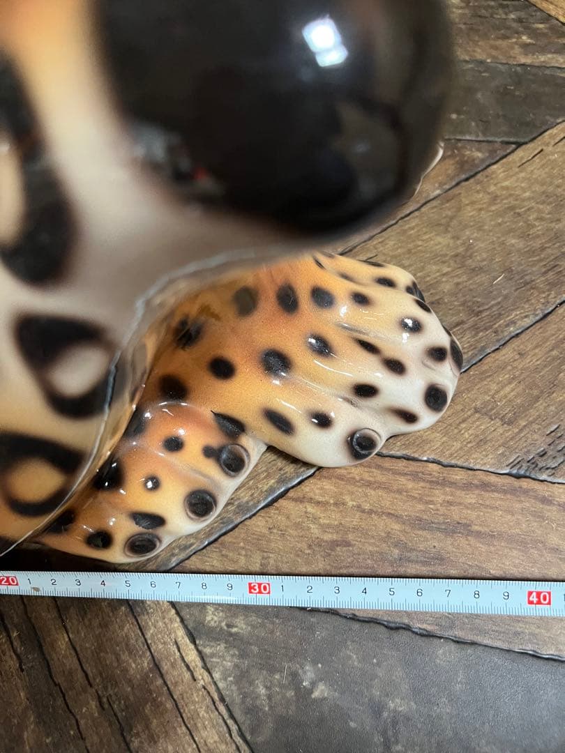 イタリア製 ヒョウ 豹 陶器 置物 レオパード アニマル インテリア オブジェ