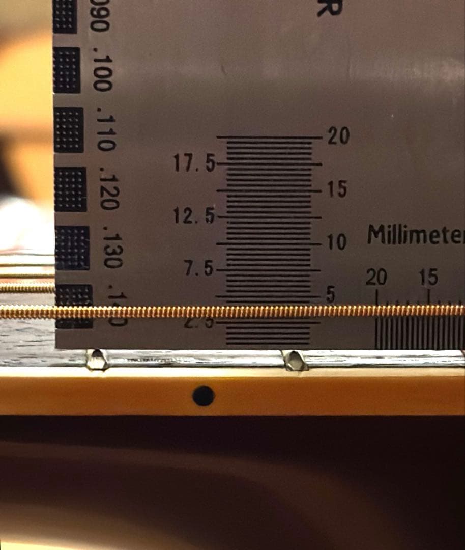 【エレアコ化&牛骨サドル】ThreeS AE-25 調整済　JV ソフトケース付