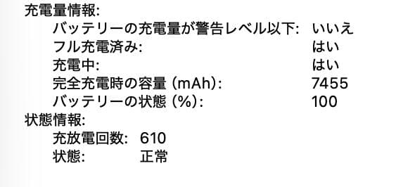 MacBook Pro 16インチ 2019 i9/16GB/1TB 箱・付属品