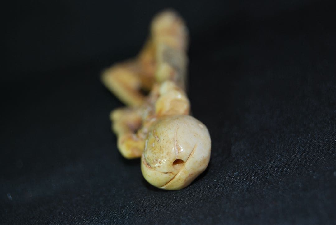 時代物　江戸期　根付　自然素材　骸骨　骨　髑髏