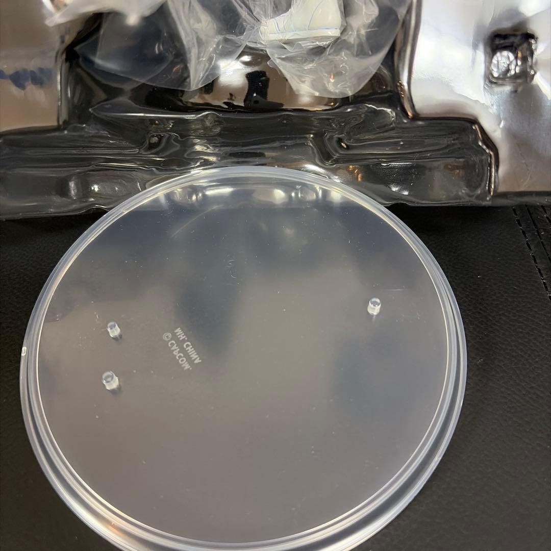 エクセレントモデルCAPCOMANIAX レインボー・ミカ