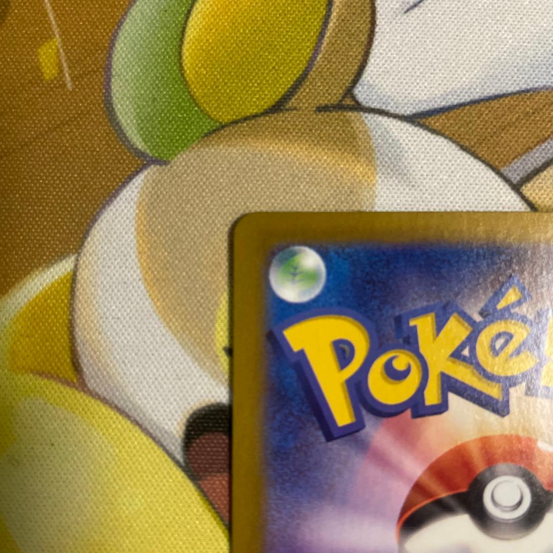 ポケモンカード　Nのゾロアーク　sar