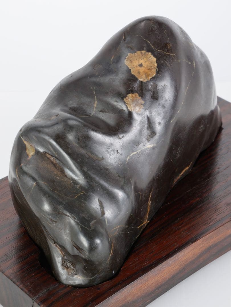 菊花石 花紋石 黒母岩 台座付 2.2kg 鑑賞石 自然石 原石 水石 盆石