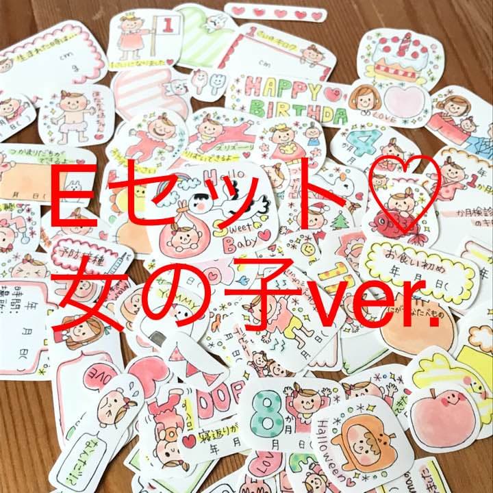 確認用♡Eセット 女の子ver.♡ベビーアルバム フレークシール