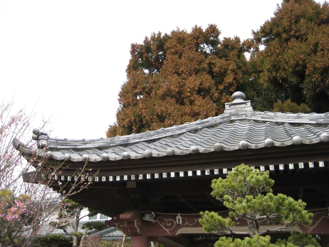 実写美⭕️【動作確認済】Canon IXY DIGITAL 10 PC1228