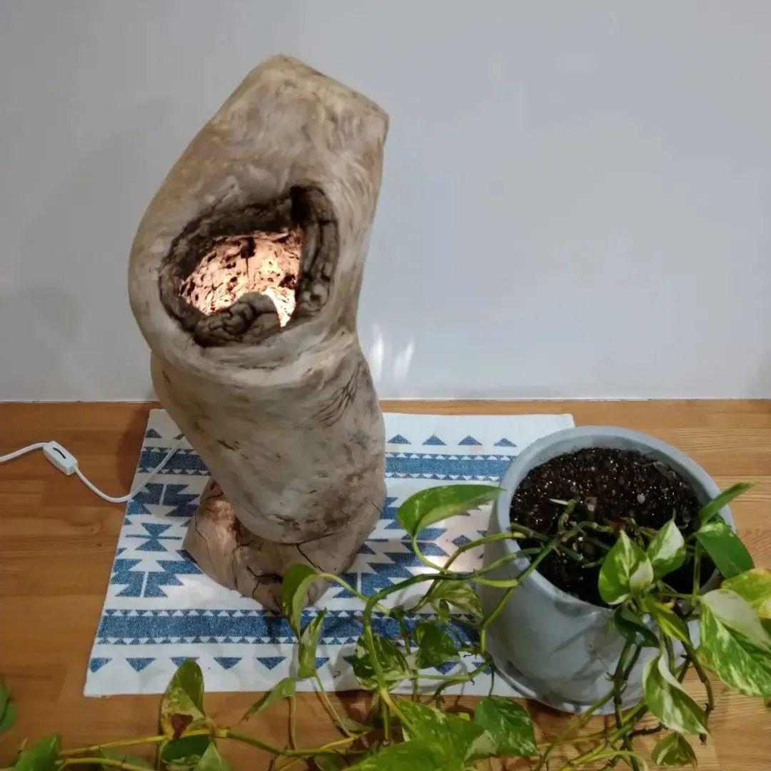 流木インテリア　スタンドライト　フロア照明