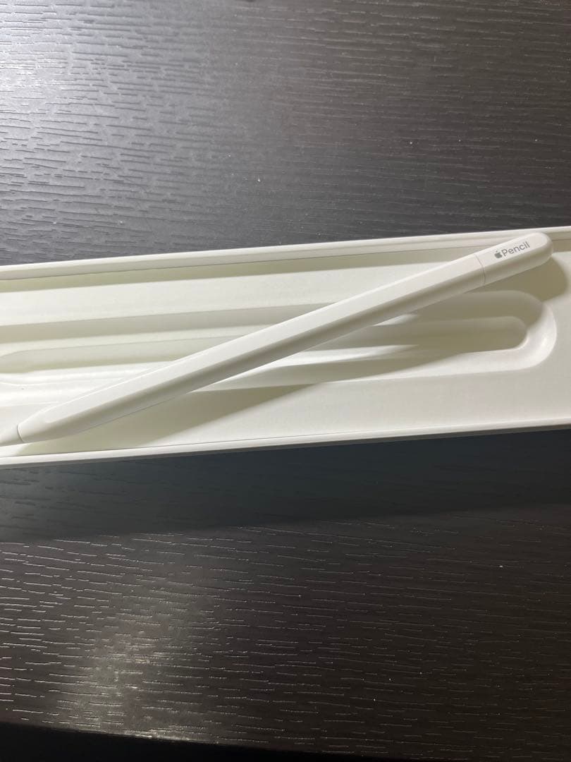 iPadアクセサリー Apple Pencil usb-c