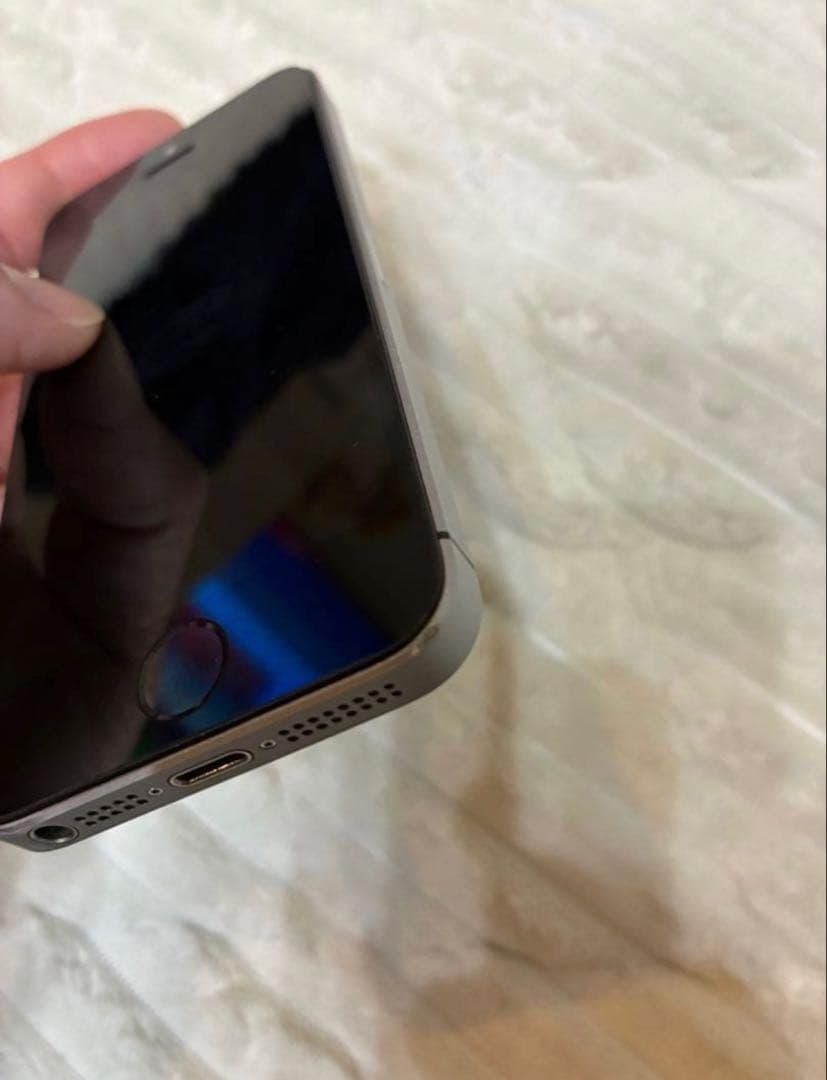 Apple iPhone SE 本体