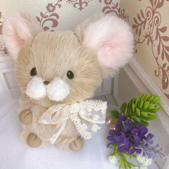 確認用です(*´꒳`*)