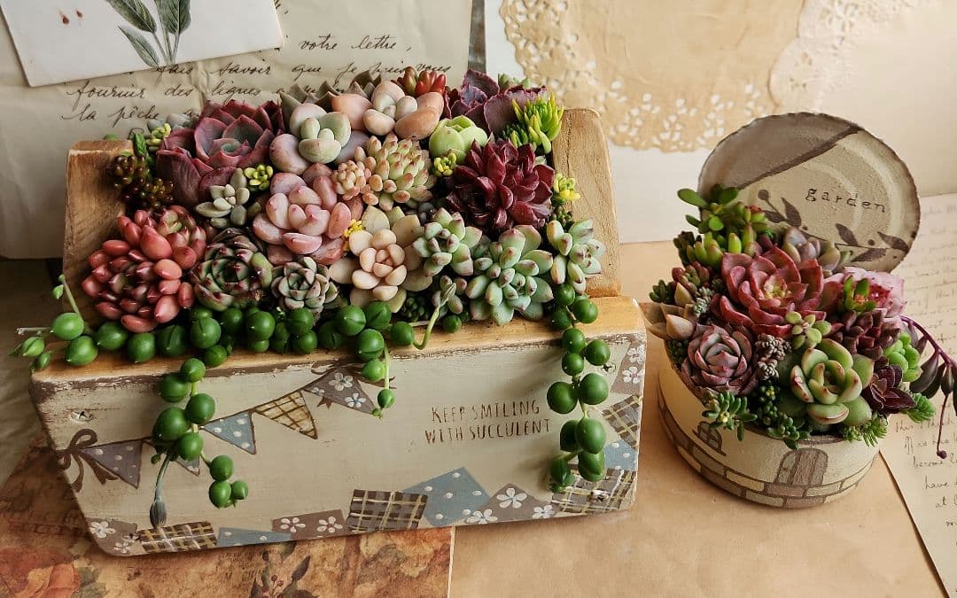 多肉植物寄せ植え　そのまま飾れる　ウッドプランターとリメイク缶セット♡