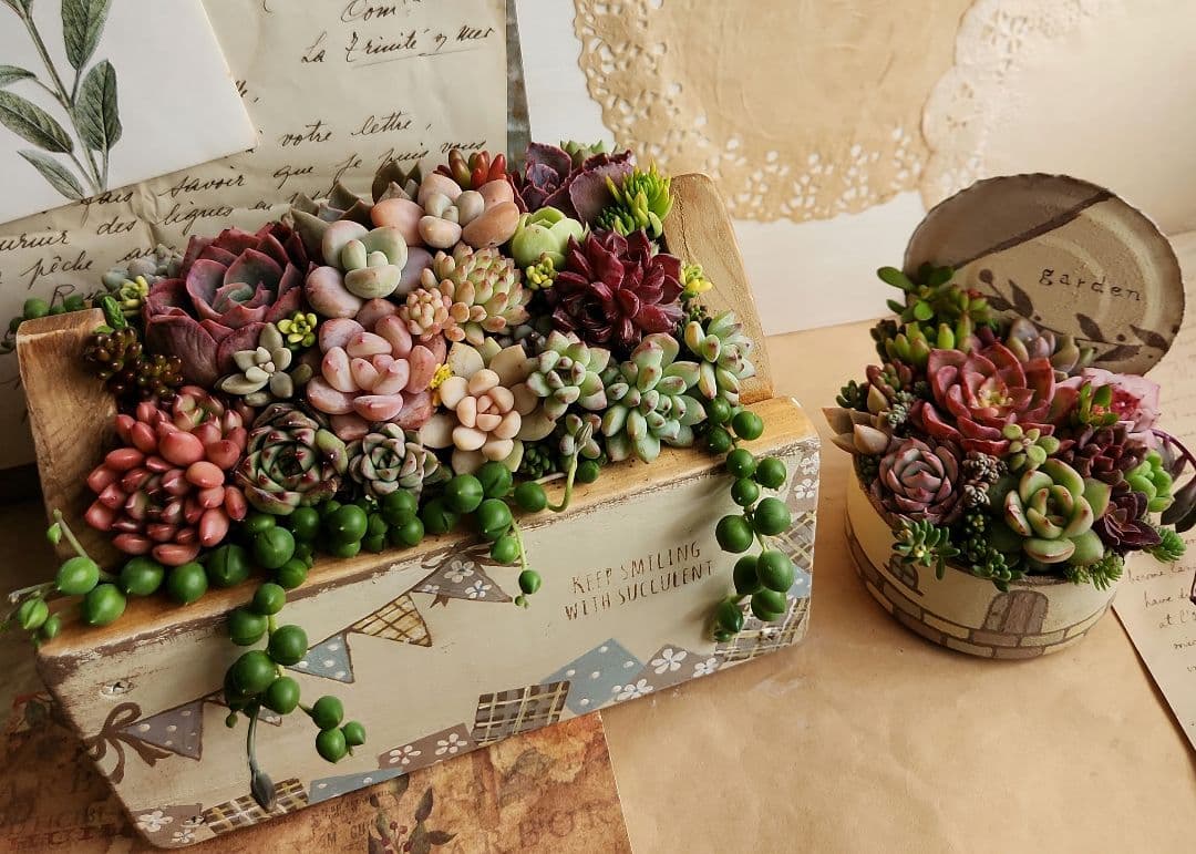多肉植物寄せ植え　そのまま飾れる　ウッドプランターとリメイク缶セット♡