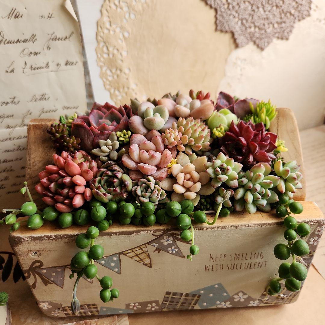 多肉植物寄せ植え　そのまま飾れる　ウッドプランターとリメイク缶セット♡