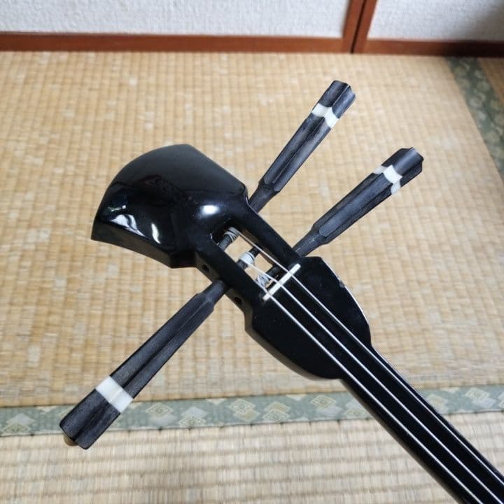 沖縄三線とハードケースのセット