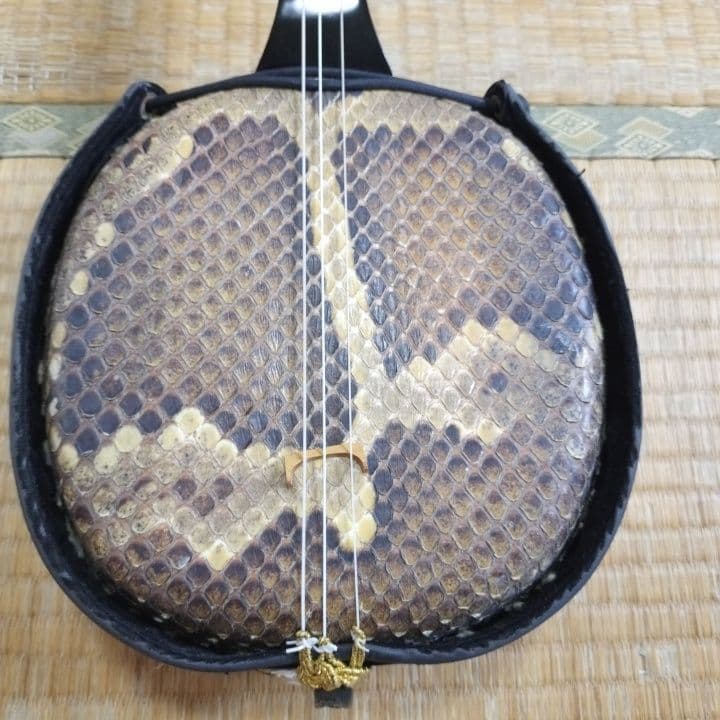 沖縄三線とハードケースのセット