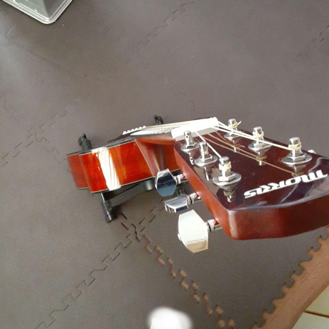 Morris F251 TSアコースティックギター　生産終了モデル