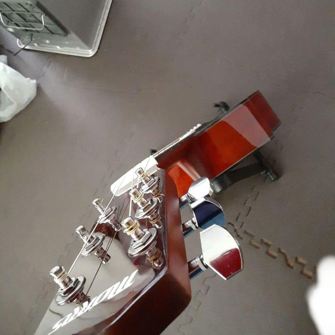 Morris F251 TSアコースティックギター　生産終了モデル