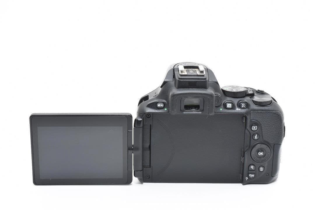 コメント割引あり！✨軽量 超高画質✨ニコン D5600✨初心者さん◎ 一眼レフ