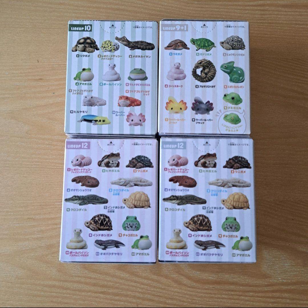 てのりフレンズ リクガメ 未開封セット