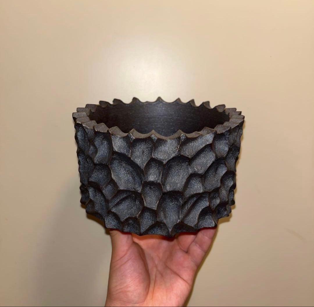 XL SIZE 植木鉢 作家鉢 アガベ グラキリス 亀甲竜 黒王丸 恩塚ランポー