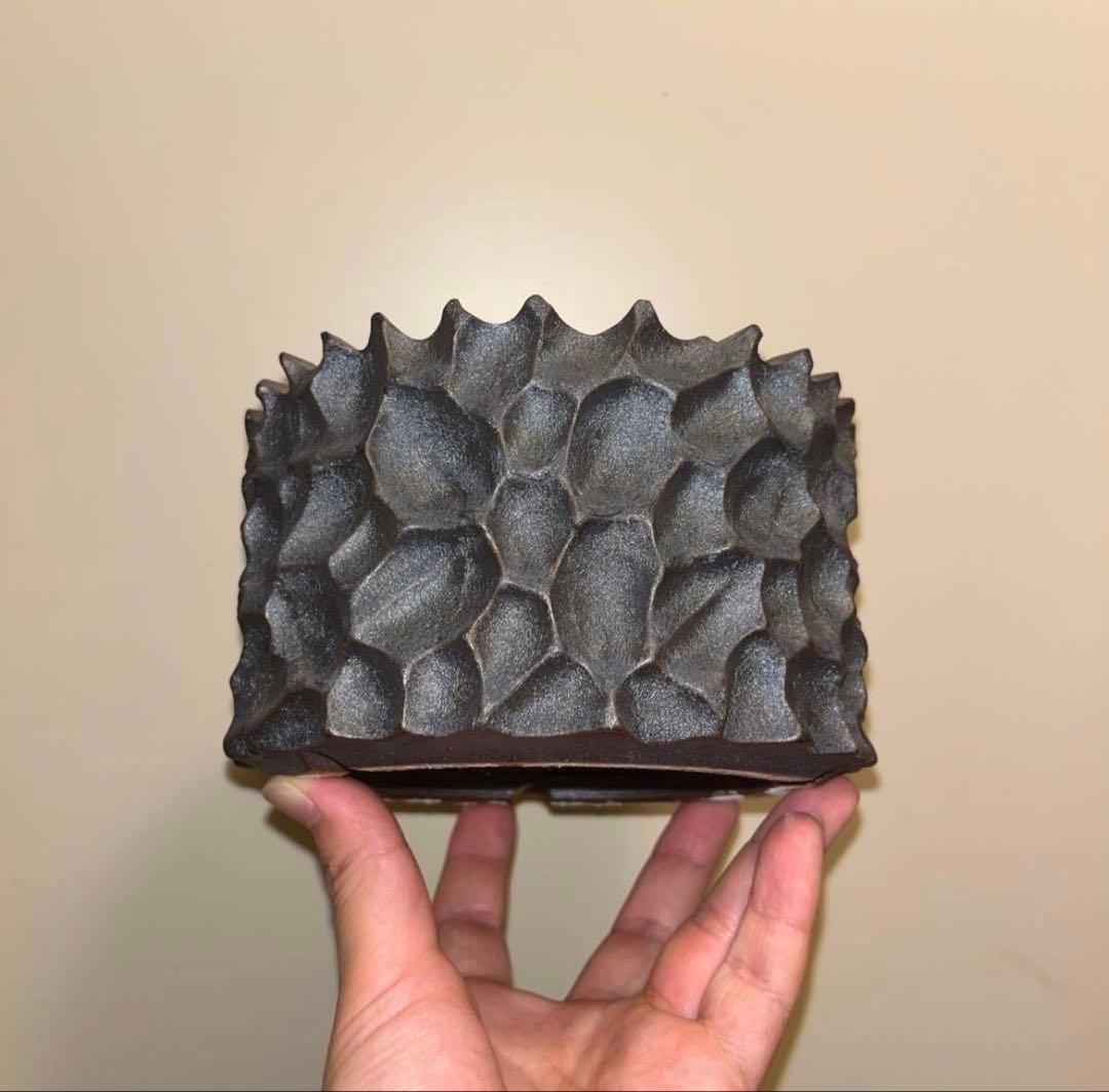 XL SIZE 植木鉢 作家鉢 アガベ グラキリス 亀甲竜 黒王丸 恩塚ランポー