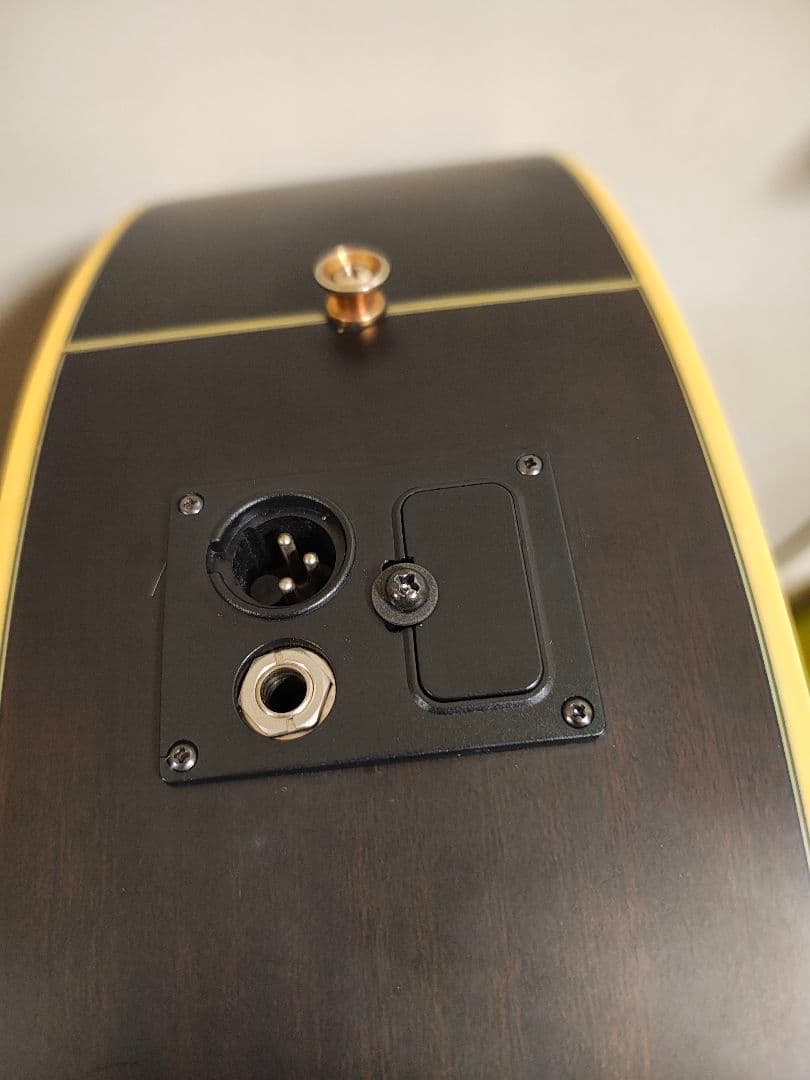 IbanezエレアコAEL12ERTK1201/ソフトケース付