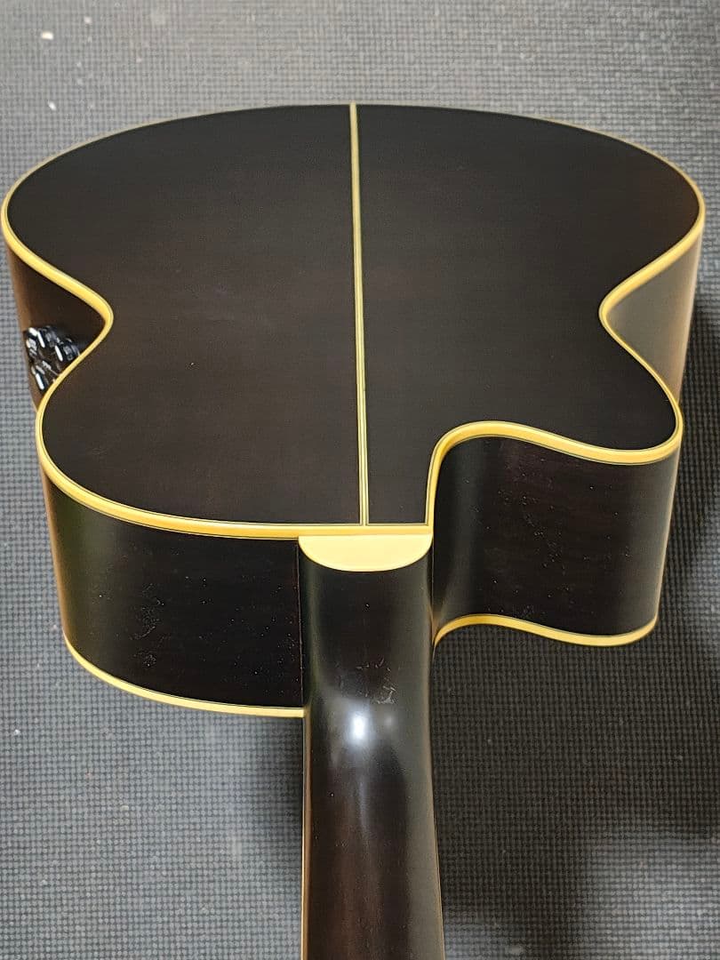 IbanezエレアコAEL12ERTK1201/ソフトケース付