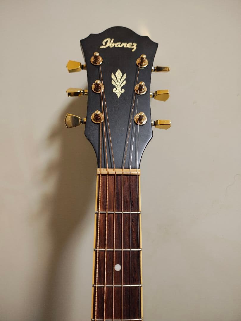 IbanezエレアコAEL12ERTK1201/ソフトケース付