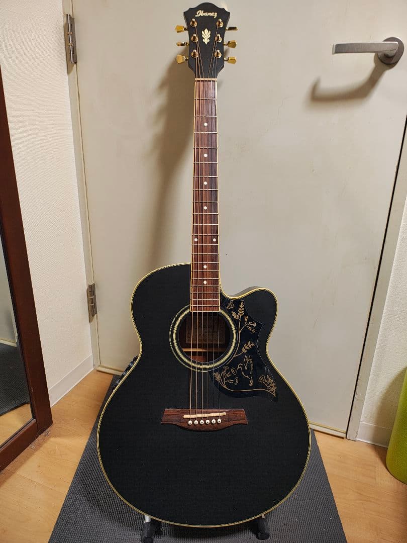 IbanezエレアコAEL12ERTK1201/ソフトケース付