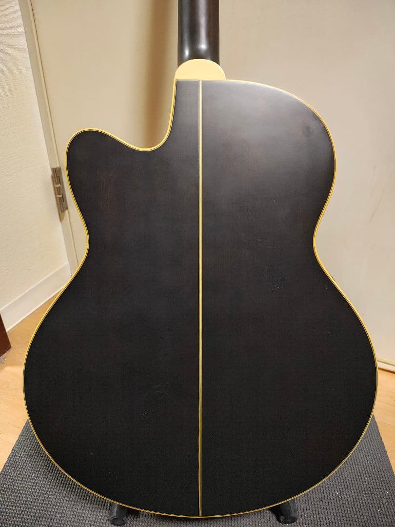 IbanezエレアコAEL12ERTK1201/ソフトケース付