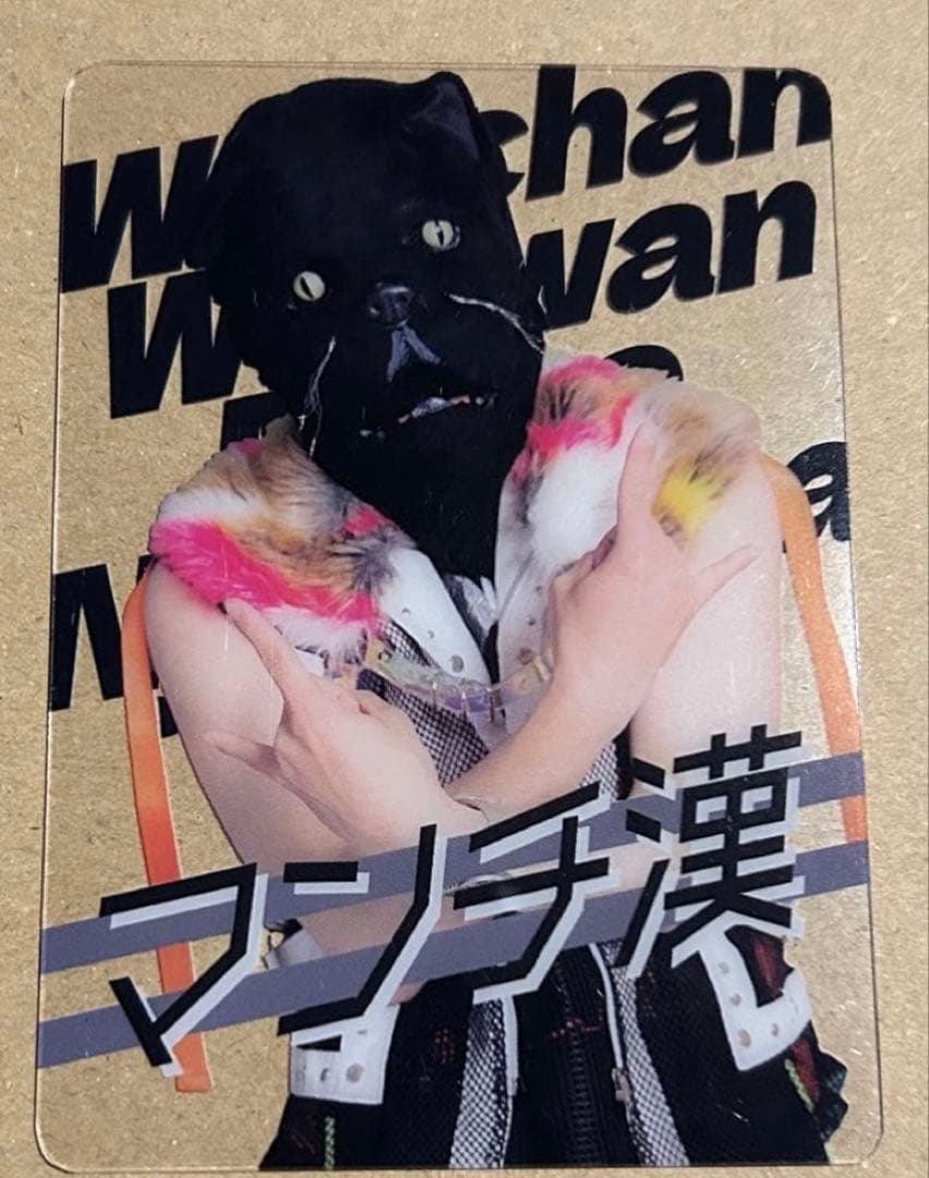 わんちゃんわんわんねこにゃんにゃん　トレカ ハピカ ウェンディーズコラボ 13枚